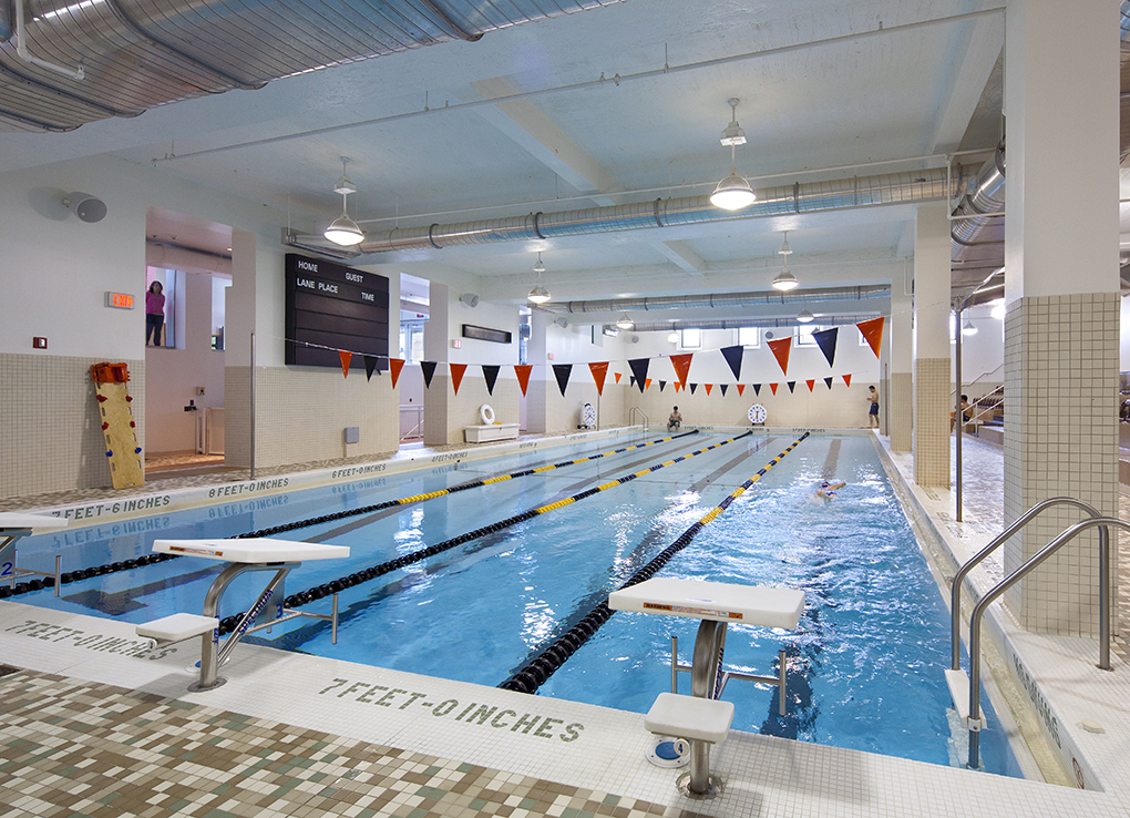 Adelphi University*