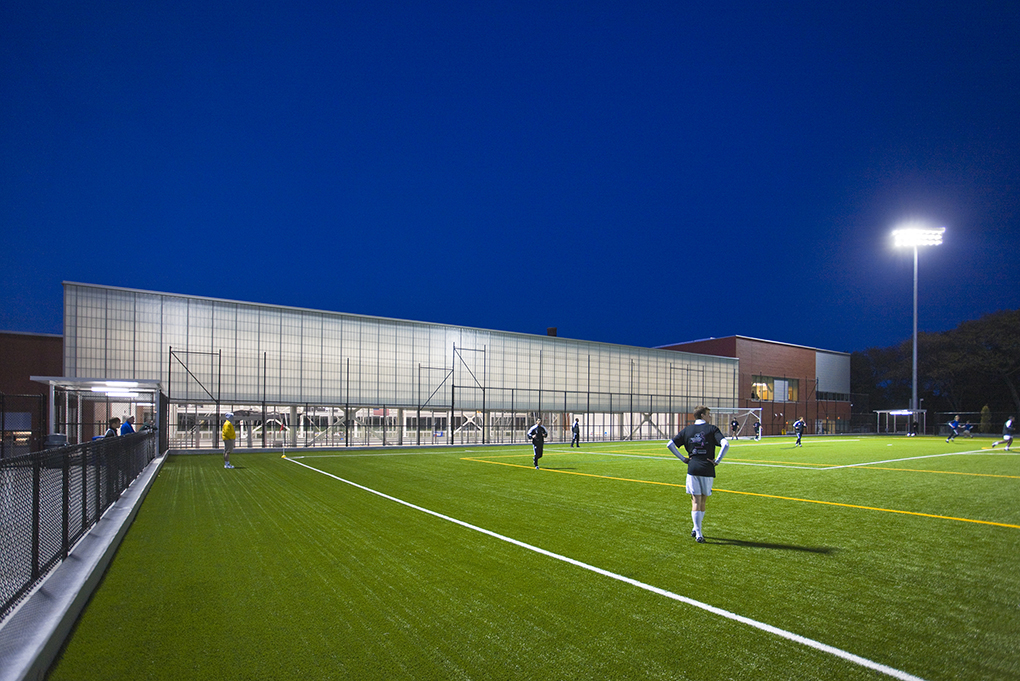 Adelphi University*