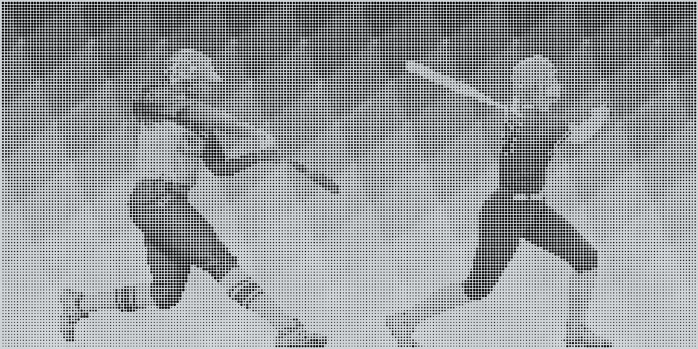 Softball Experience