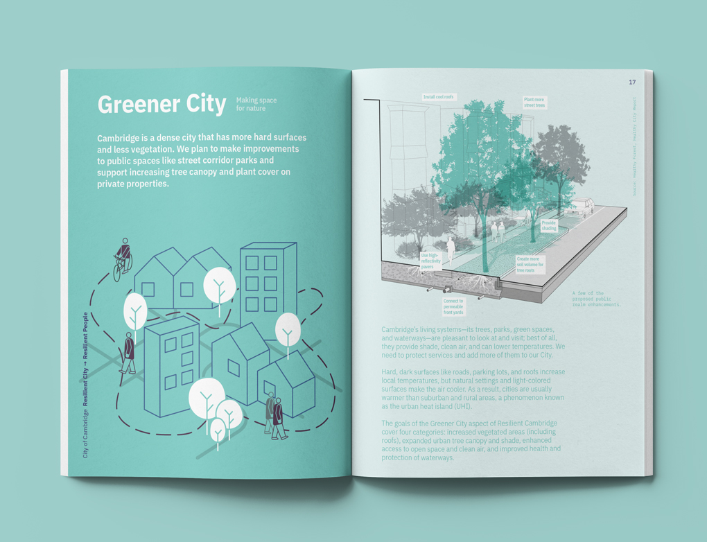 Resilient Cambridge